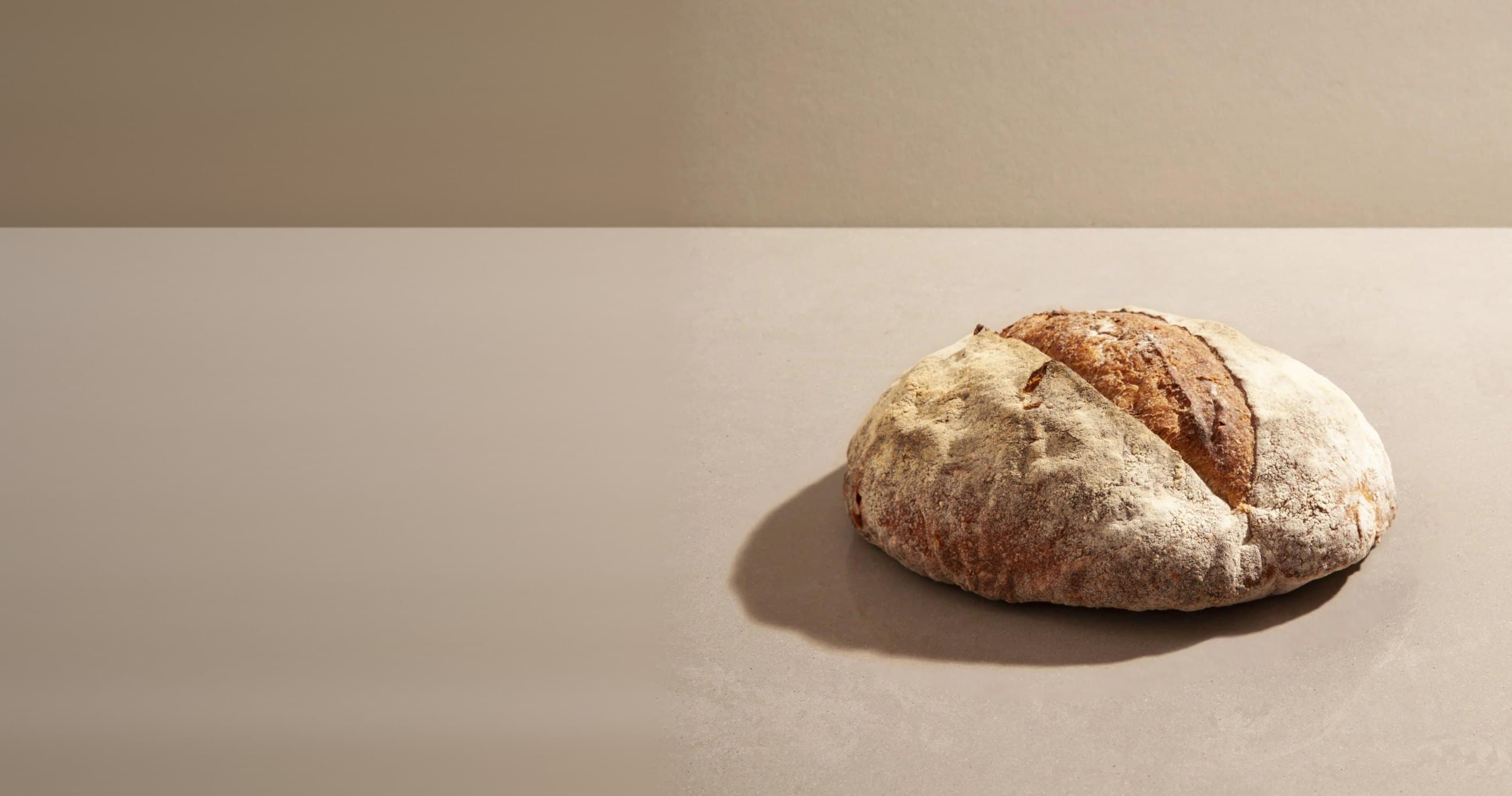 Ein frisch gebackenes Sauerteigbrot auf hellem Grund